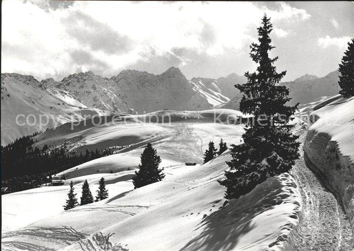 11635247 Arosa GR Weg zum Arlenwald Wintersportplatz Alpenpanorama