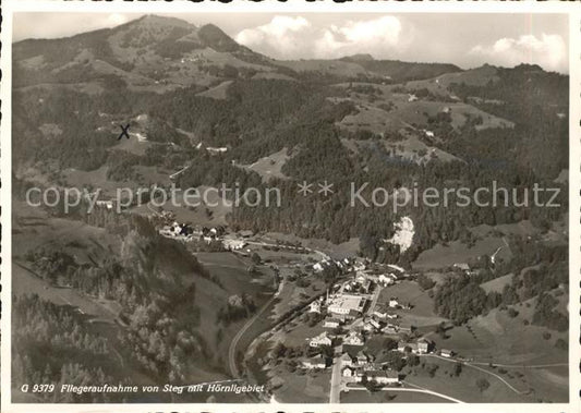 11635614 Steg Toesstal mit Hoernligebiet Fliegeraufnahme