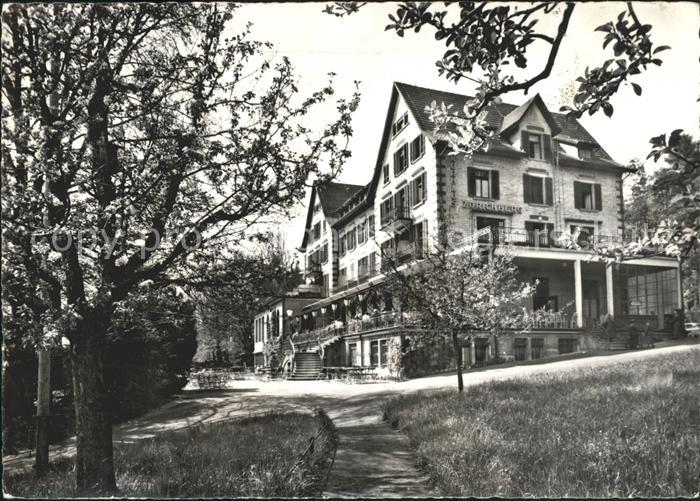 11635646 Zuerich Kurhaus Zuerichberg Baumbluete