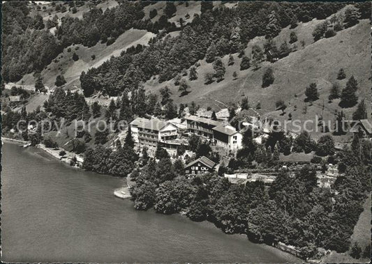 11643136 Gersau Vierwaldstaettersee am Vierwaldstaettersee Fliegeraufnahme