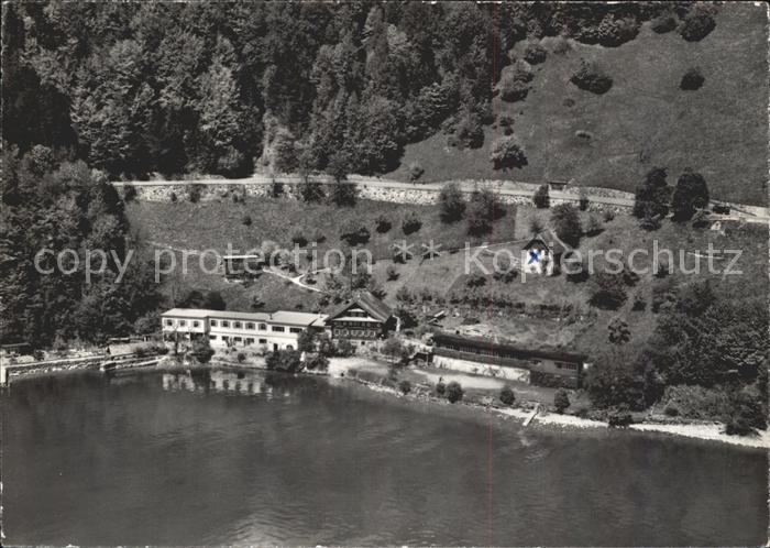 11643162 Gersau Vierwaldstaettersee Fliegeraufnahme Jugendferienheim