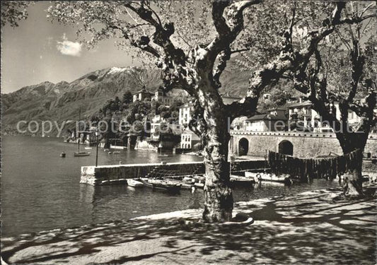 11641845 Ascona TI San Michele Lago Maggiore