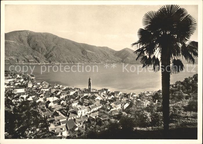 11641865 Ascona TI Panorama am Lago Maggiore