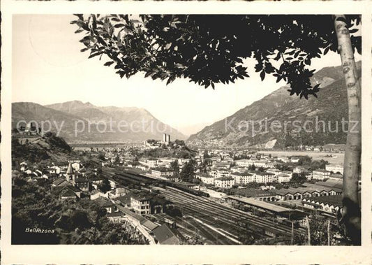 11642254 Bellinzona Panorama da Nord