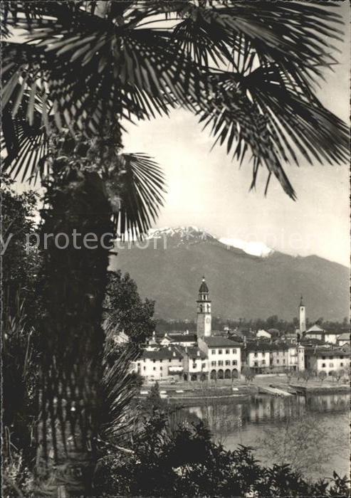 11642258 Ascona TI Lago Maggiore