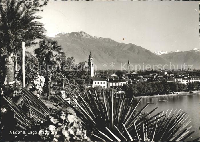 11642278 Ascona TI Lago Maggiore Panorama