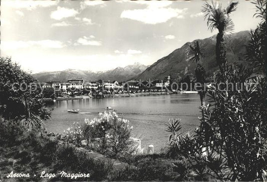 11642319 Ascona TI Am Lago Maggiore