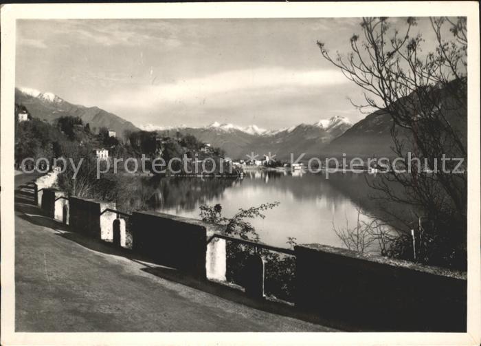 11642336 Ascona TI Panorama Lago Maggiore Strada cantonale