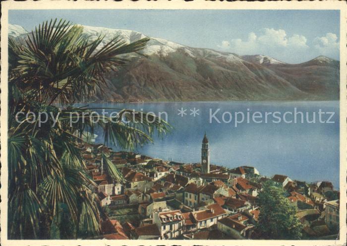 11643283 Ascona TI Panorama Lago Maggiore