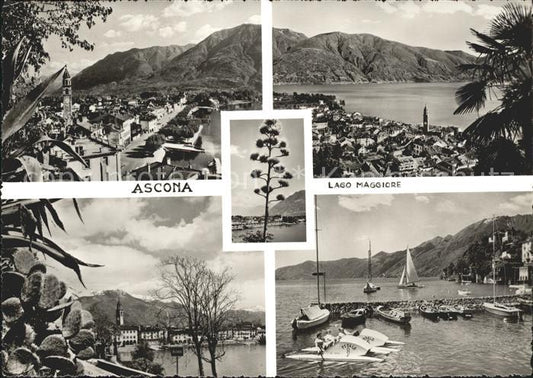 11643618 Ascona TI Panorama Lago Maggiore Il Porto