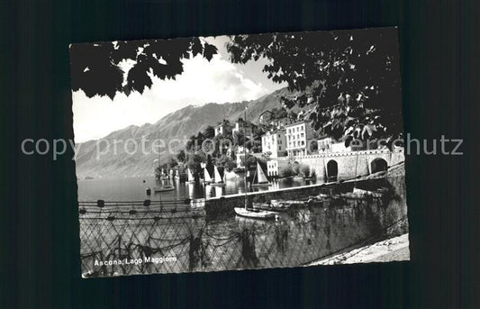 11643727 Ascona TI Panorama Lago Maggiore