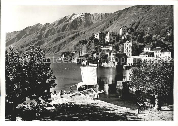 11644054 Ascona TI Panorama San Michele Lago Maggiore