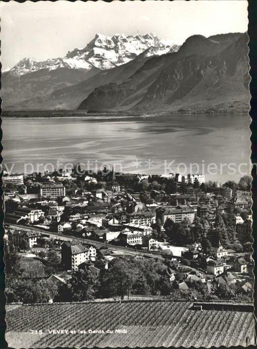 11644235 Vevey VD Panorama Lac Leman et les Dents du Midi