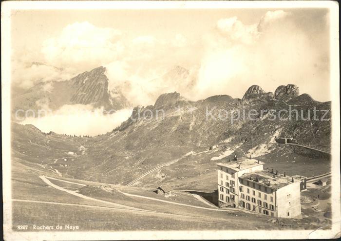 11644271 Montreux VD Hotel Rochers de Naye et les Alpes