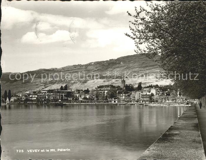 11644313 Vevey VD Promenade Lac Leman et Mont Pelerin