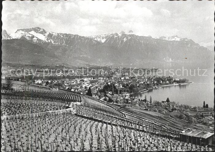 11644409 Vevey VD Vu de Chardonne Lac Leman et les Alpes