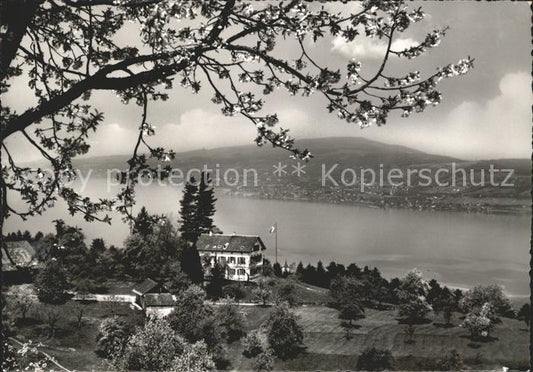 11646859 Luegeten Pfaeffikon SZ mit Zuerichsee Panorama