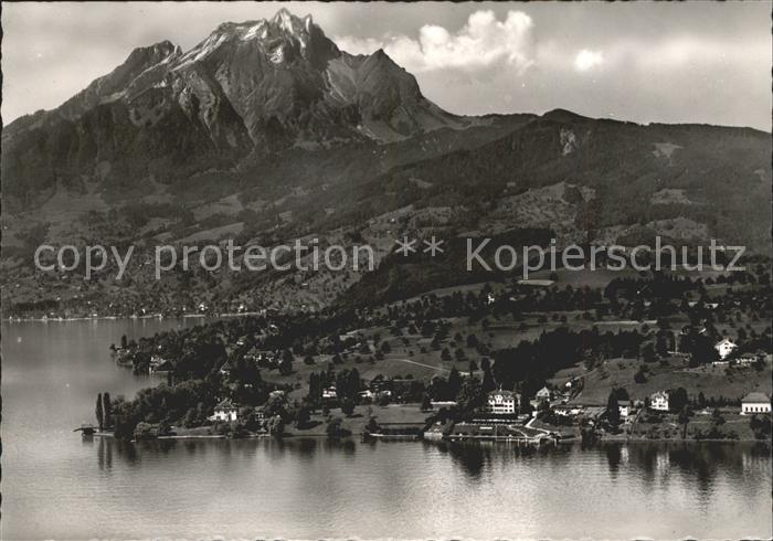 11647980 Kastanienbaum Fliegeraufnahme Hotel Kastanienbaum Vierwaldstaettersee