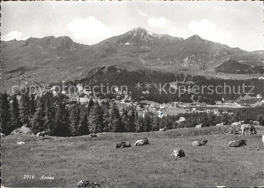 11648747 Arosa GR Landschaft