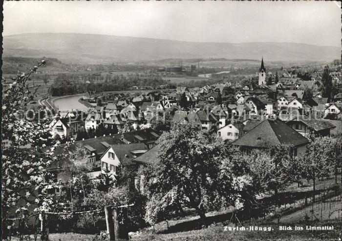 11641279 Hoengg Zuerich Panorama Blick ins Limmattal Baumbluete