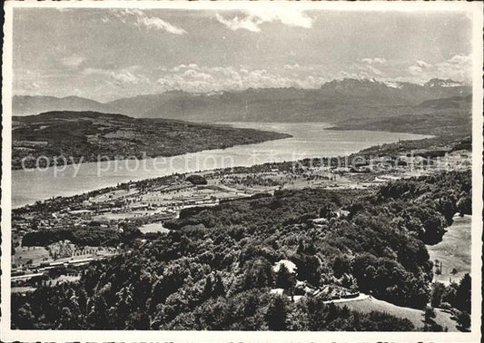 11650015 Zuerich Panorama vom Uetliberg