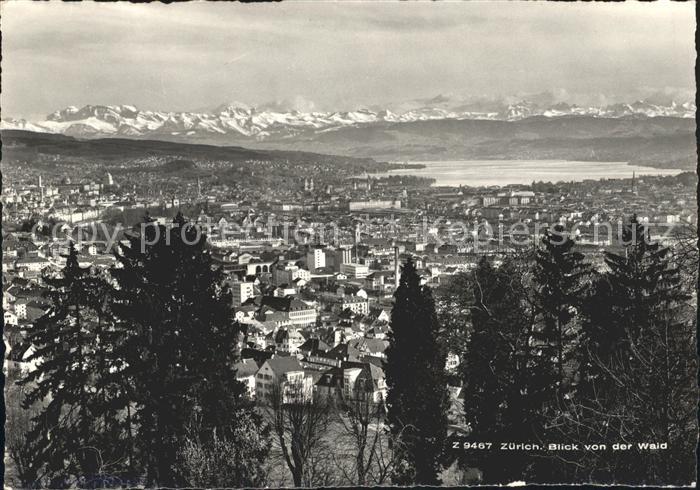 11657600 Zuerich Blick von der Waid Restaurant See Alpen