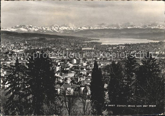 11657649 Zuerich Blick von der Waid See Alpen