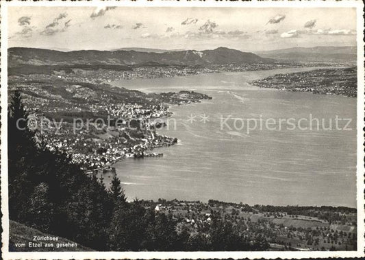 11657820 Zuerichsee Blick vom Etzel