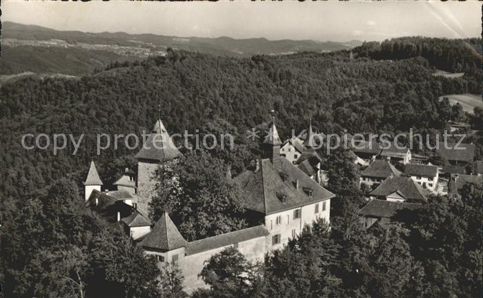 11657834 Photographie aérienne du château de Kyburg