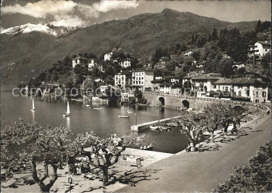 11652510 Ascona TI Vista su St Michele Lac Majeur