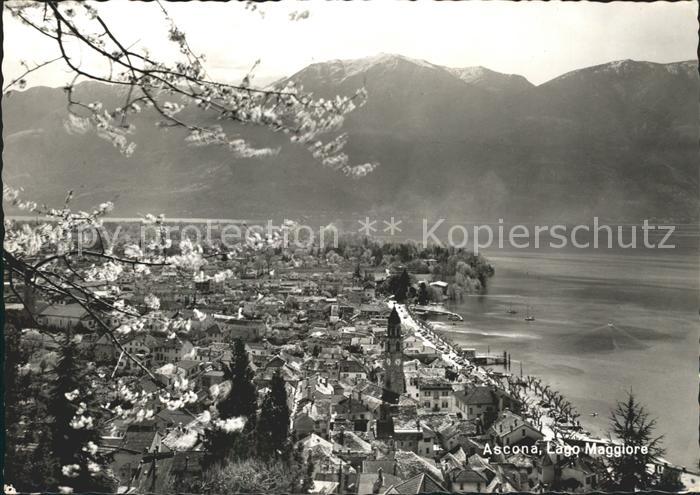 11654613 Ascona TI Panorama Lago Maggiore