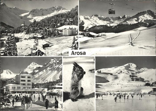 11655444 Arosa GR Panorama Seilbahn Hotels Eisbahn Eichhoernchen