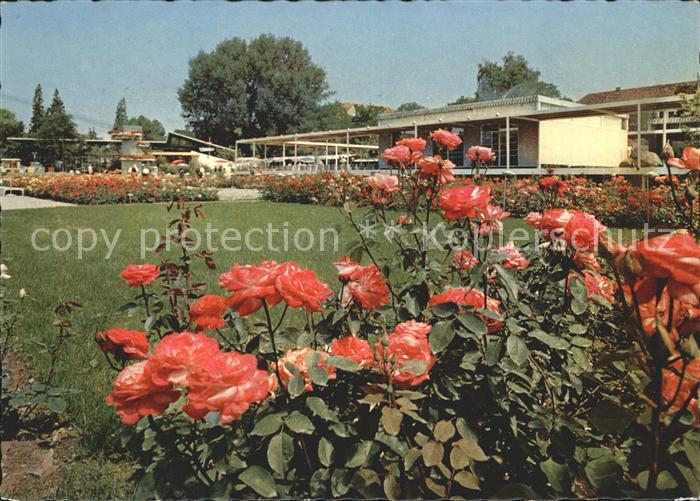 11655569 Zuerich Schweiz Gartenbau Ausstellung 1959