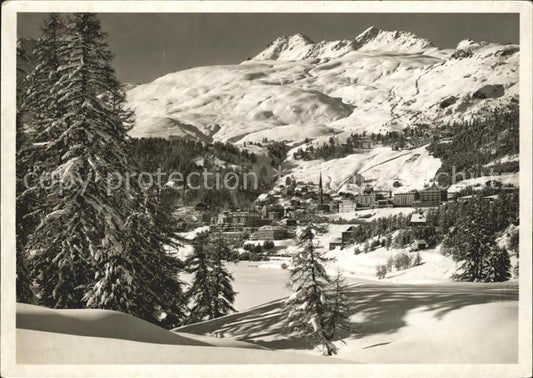 11656115 St Moritz GR avec Corviglia Piz Nair