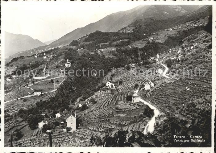 11656423 Tenero Photo aérienne des gorges de la Versasca