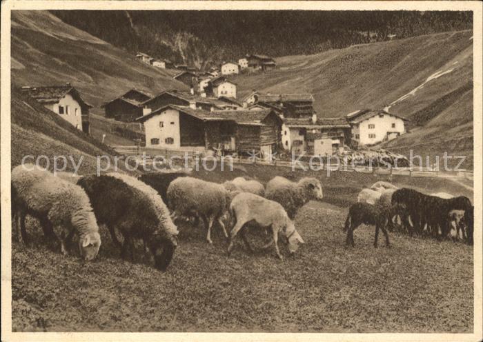 11659003 Glarus GL Troupeau de moutons, vue sur la ville