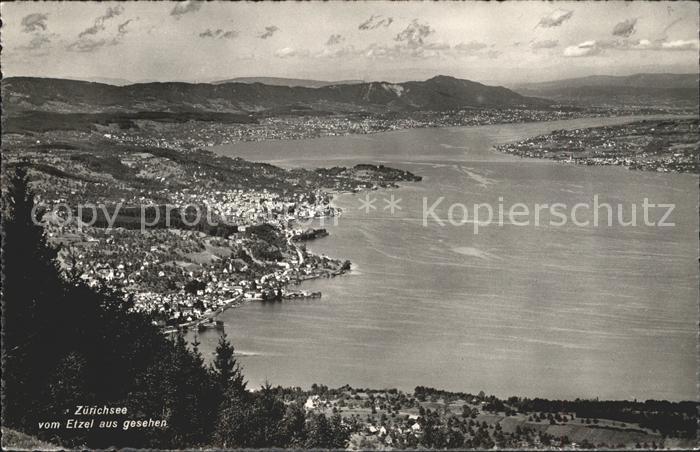 11651586 Zuerichsee Panorama Blick vom Etzel