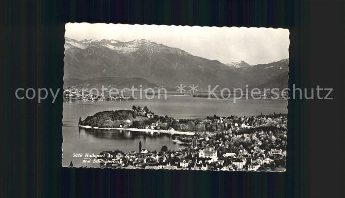 11651600 Zuerichsee Panorama Halbinsel Au mit Speer und Schaniserberg