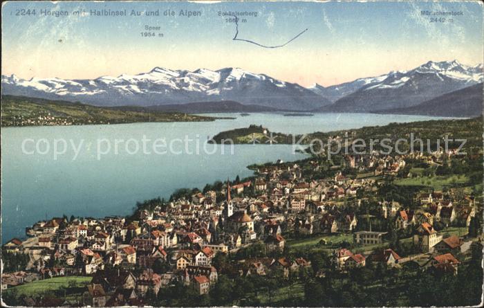 11651997 Horgen ZH Gesamtansicht Zuerichsee Alpenpanorama