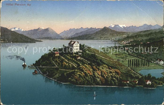 11652244 Au ZH Hotel Pension Halbinsel Au Zuerichsee Alpenpanorama