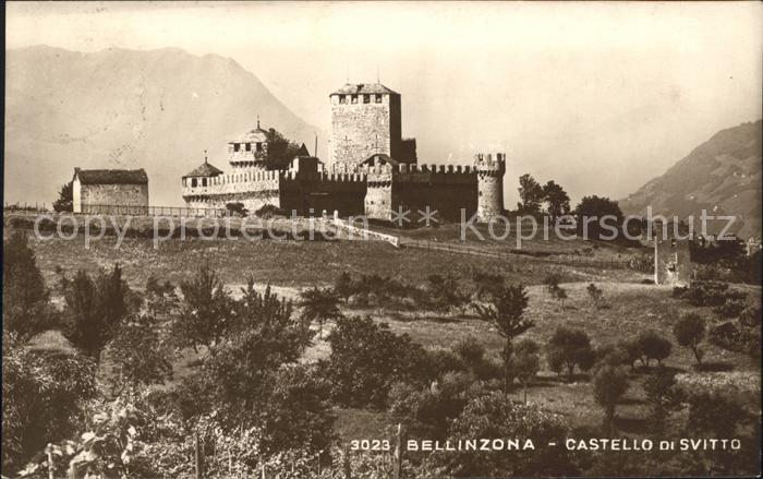 11659279 Bellinzone Château de Svitta