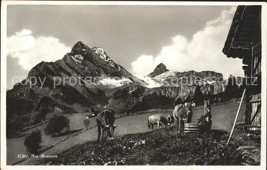 11653250 Glaris GL Vaches à la fontaine