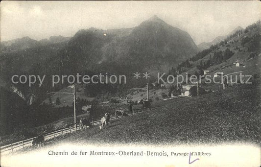 11662925 Montreux VD Chemin de fer Kuehe