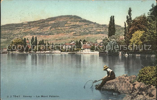 11660822 Vevey VD Le Mont Pélerin Pêcheur