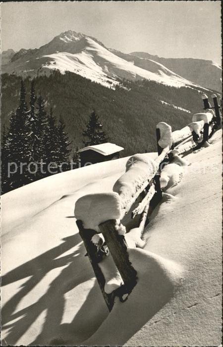 11661103 Davos GR Impressions hivernales Vue sur le Leidbachhorn