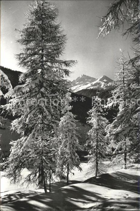 11661104 Davos GR Vue magique hivernale sur Leidbach et le Rhinerhorn