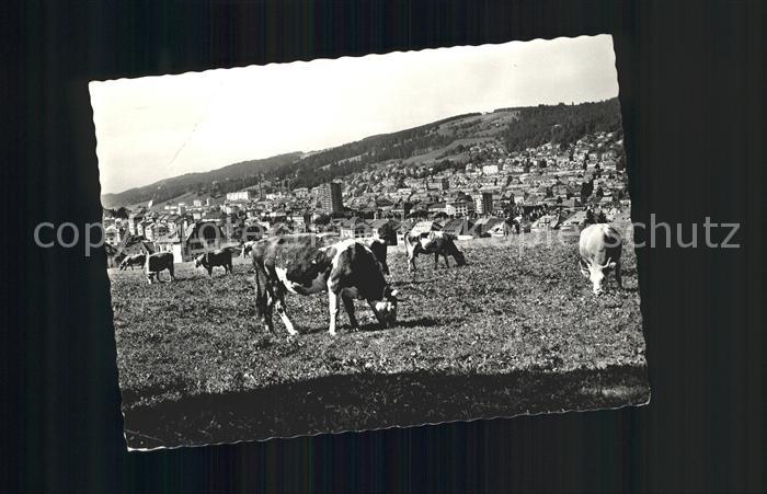 11661357 La Chaux-de-Fonds Vue générale