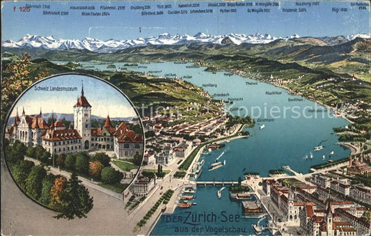 11667673 Zuerichsee und Umgebung Relief Panoramakarte mit Schweizer Landesmuseum