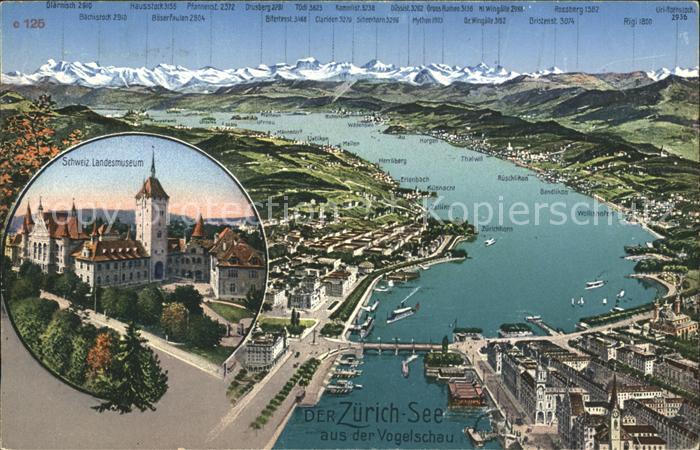 11667733 Zuerichsee Panoramakarte Schweizer Landesmuseum