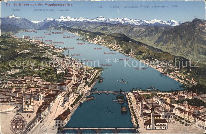 11670266 Zuerichsee Relief Panoramakarte Zuerich